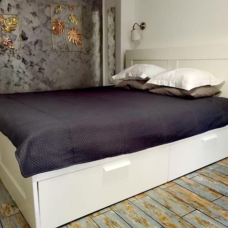 Stay In Tmisoara Тимишоара Екстериор снимка
