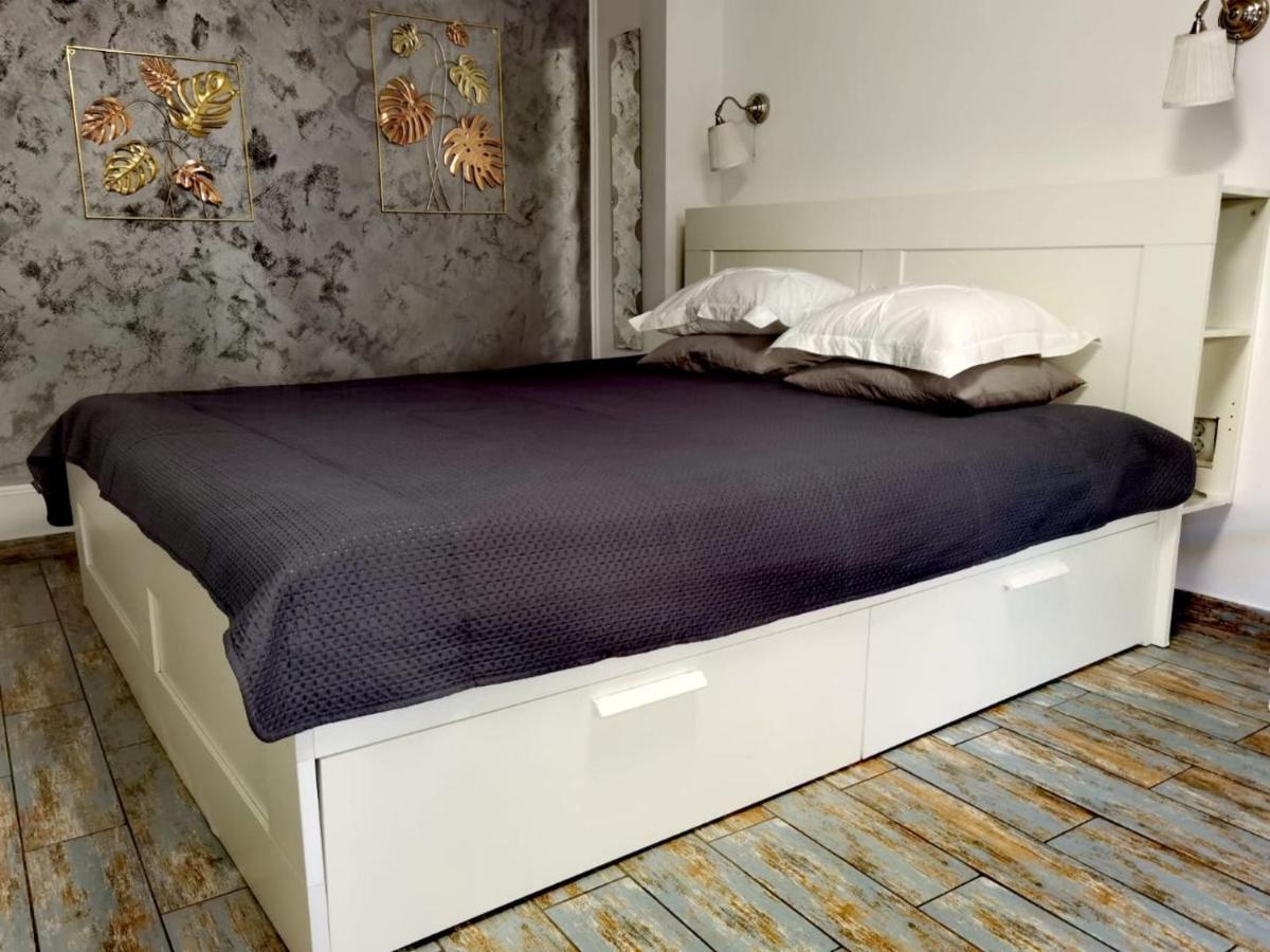 Stay In Tmisoara Тимишоара Екстериор снимка