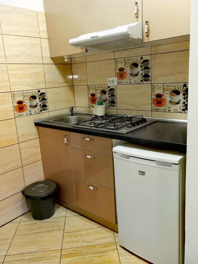 Stay In Tmisoara Тимишоара Екстериор снимка