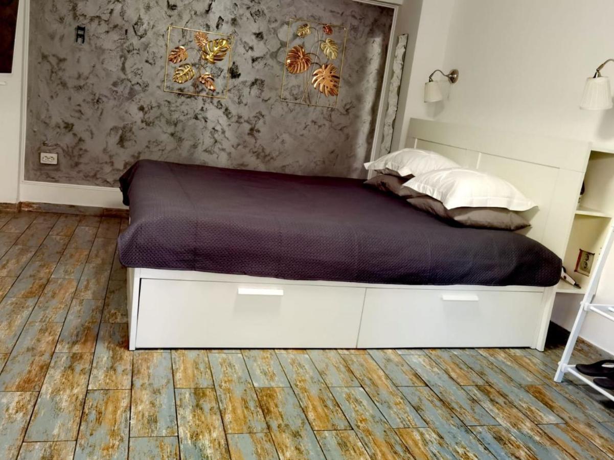 Stay In Tmisoara Тимишоара Екстериор снимка