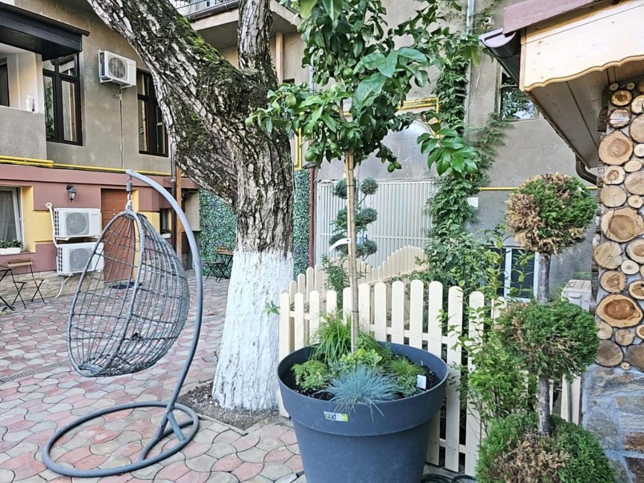 Stay In Tmisoara Тимишоара Екстериор снимка