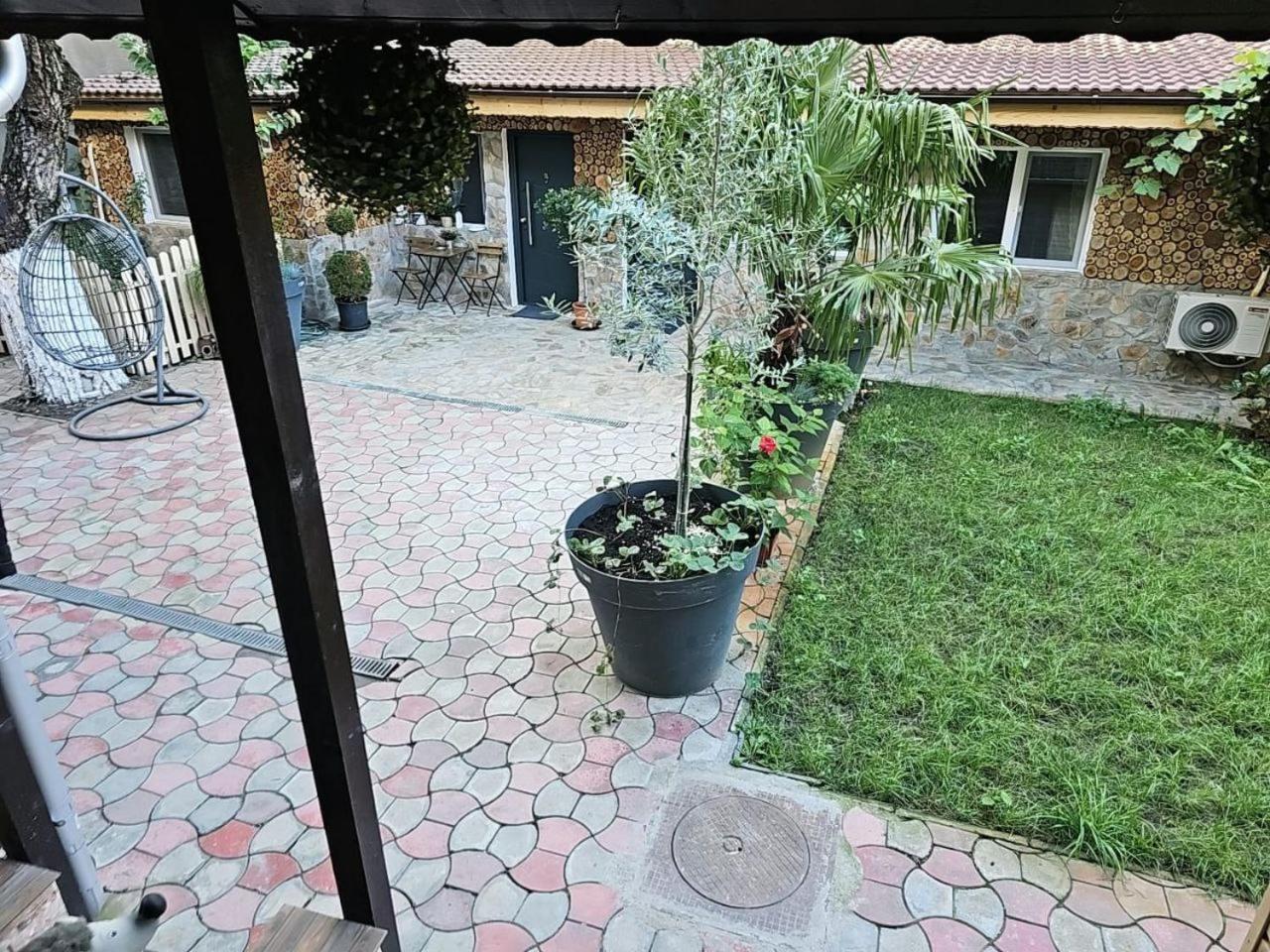 Stay In Tmisoara Тимишоара Екстериор снимка