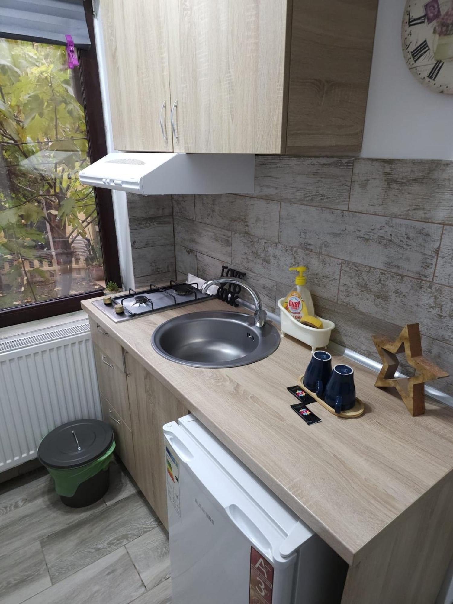 Stay In Tmisoara Тимишоара Екстериор снимка