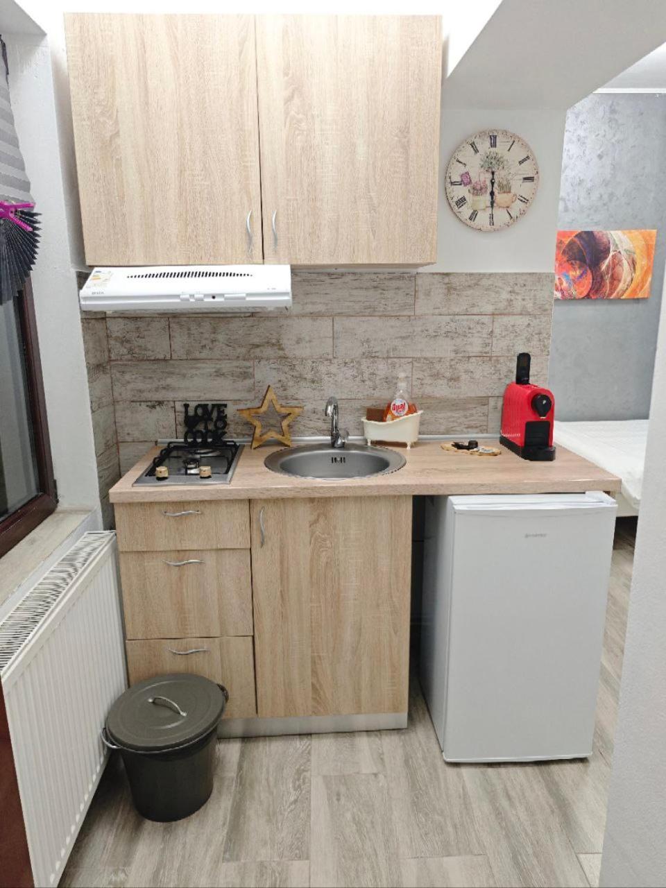 Stay In Tmisoara Тимишоара Екстериор снимка