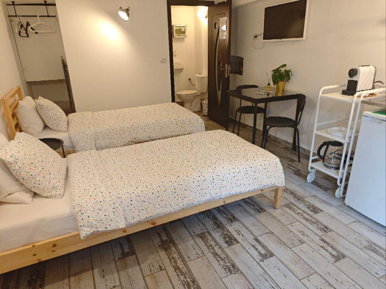 Stay In Tmisoara Тимишоара Екстериор снимка