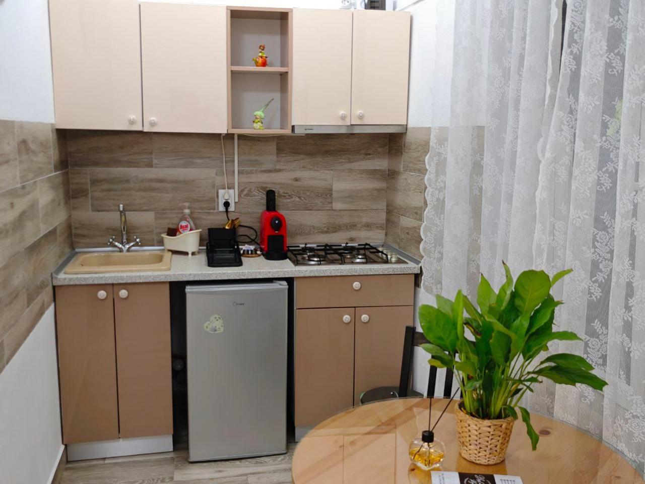 Stay In Tmisoara Тимишоара Екстериор снимка
