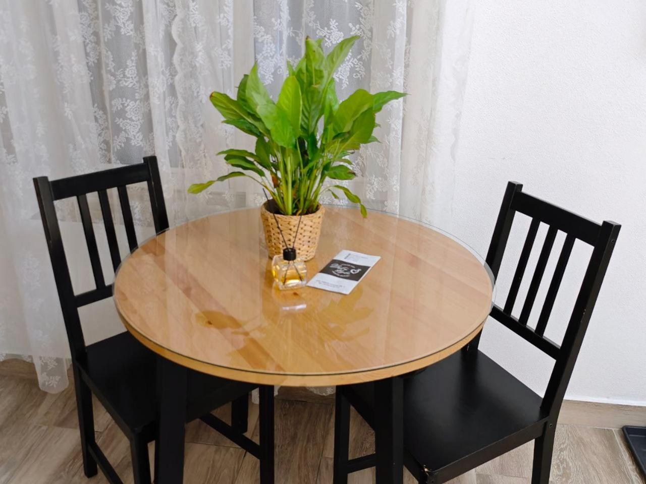 Stay In Tmisoara Тимишоара Екстериор снимка